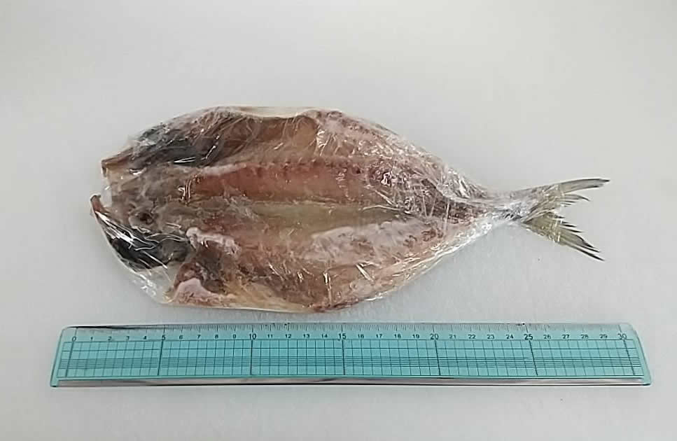 嶋津のアジの一夜干し【送料別・クール便・保冷箱対象商品】